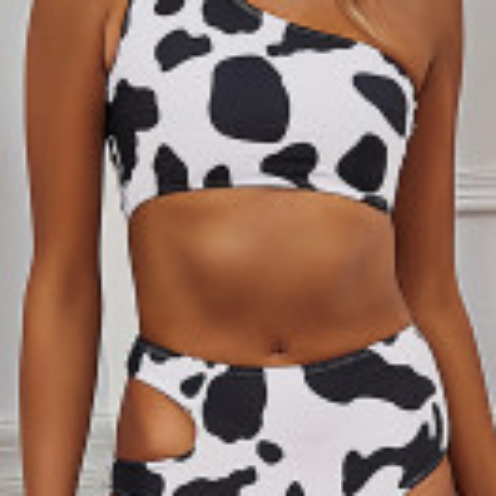 Cow Print Two Piece Bikini